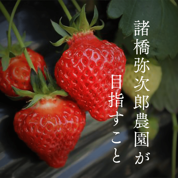 諸橋弥次郎農園が目指すこと