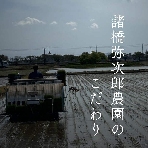 諸橋弥次郎農園のこだわり